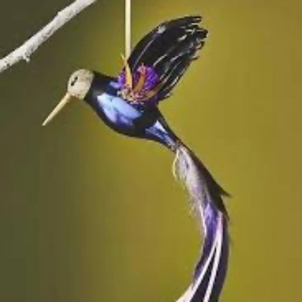 NWT Anthropologie Purple Glass Hummingbird Christmas Ornament
